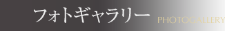 フォトギャラリー